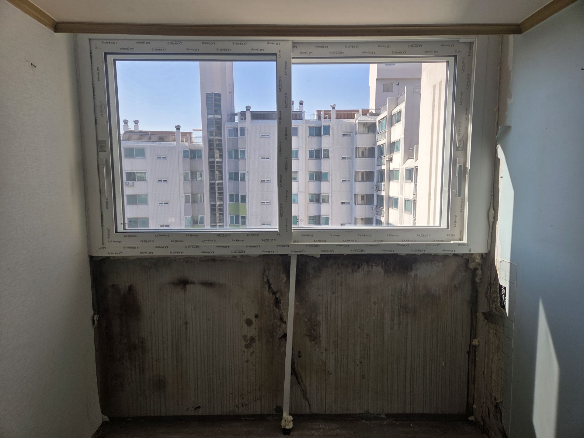 신월동 푸른마을